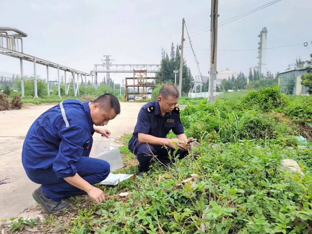 9170在线登录金沙