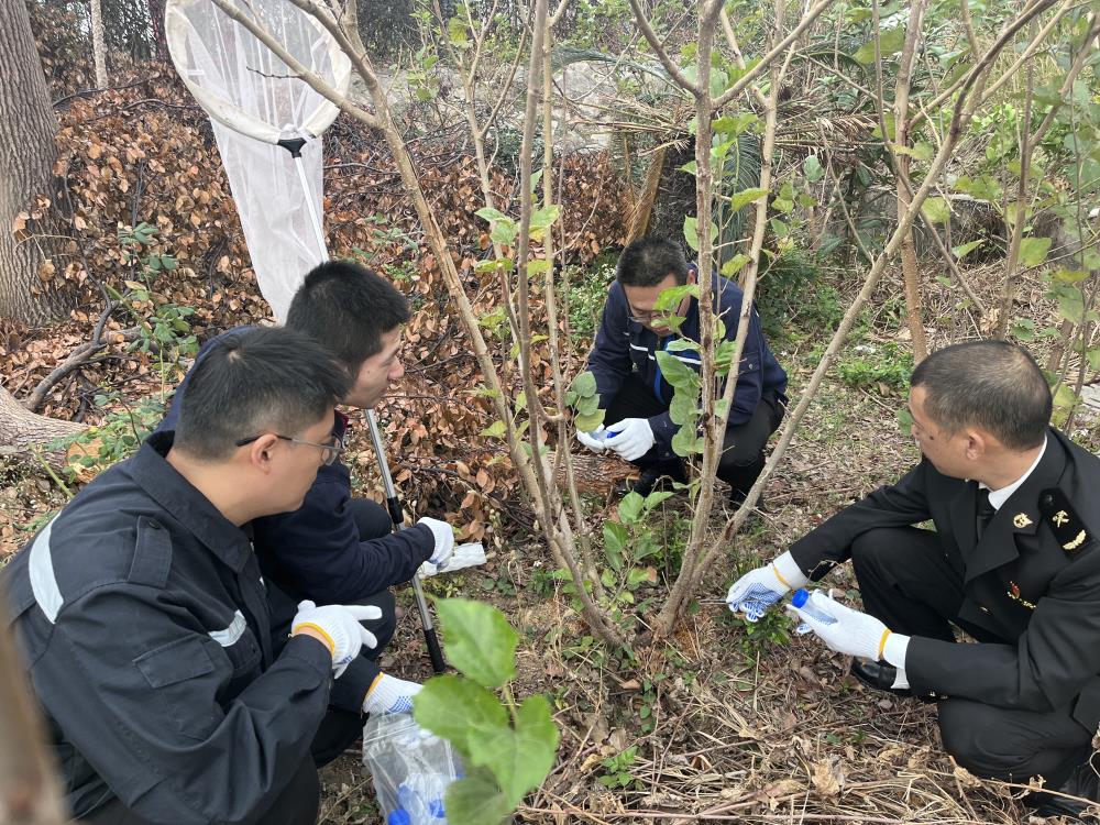 9170在线登录金沙